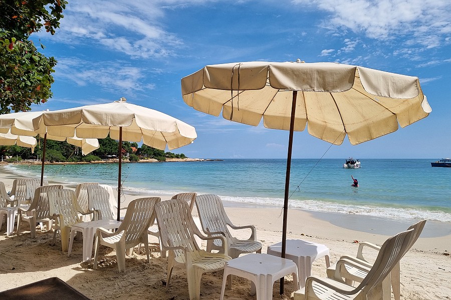 Beach Chairs & Loungers